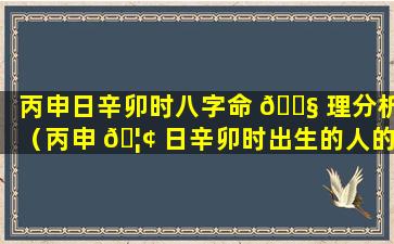 丙申日辛卯时八字命 🐧 理分析（丙申 🦢 日辛卯时出生的人的命运）